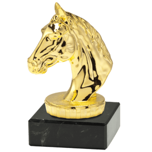 Personalizowana statuetka z grawerem – idealna nagroda na turnieje i uroczystości.