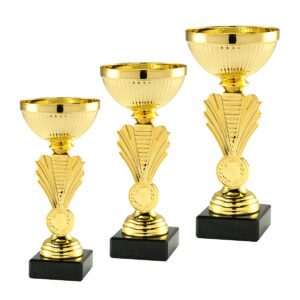 Zestaw eleganckich pucharów sportowych w promocyjnej cenie od Nagrodzony.pl, idealnych na turnieje i wydarzenia.