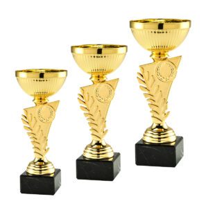 Zestaw eleganckich pucharów sportowych w promocyjnej cenie od Nagrodzony.pl, idealnych na turnieje i wydarzenia.